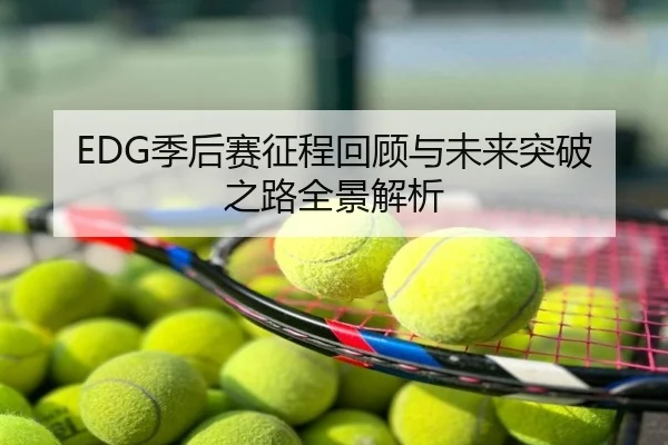 EDG季后赛征程回顾与未来突破之路全景解析